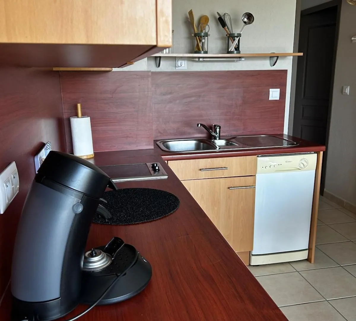 Ferienwohnung L'Erable T2 Climatise Trébas 0*,